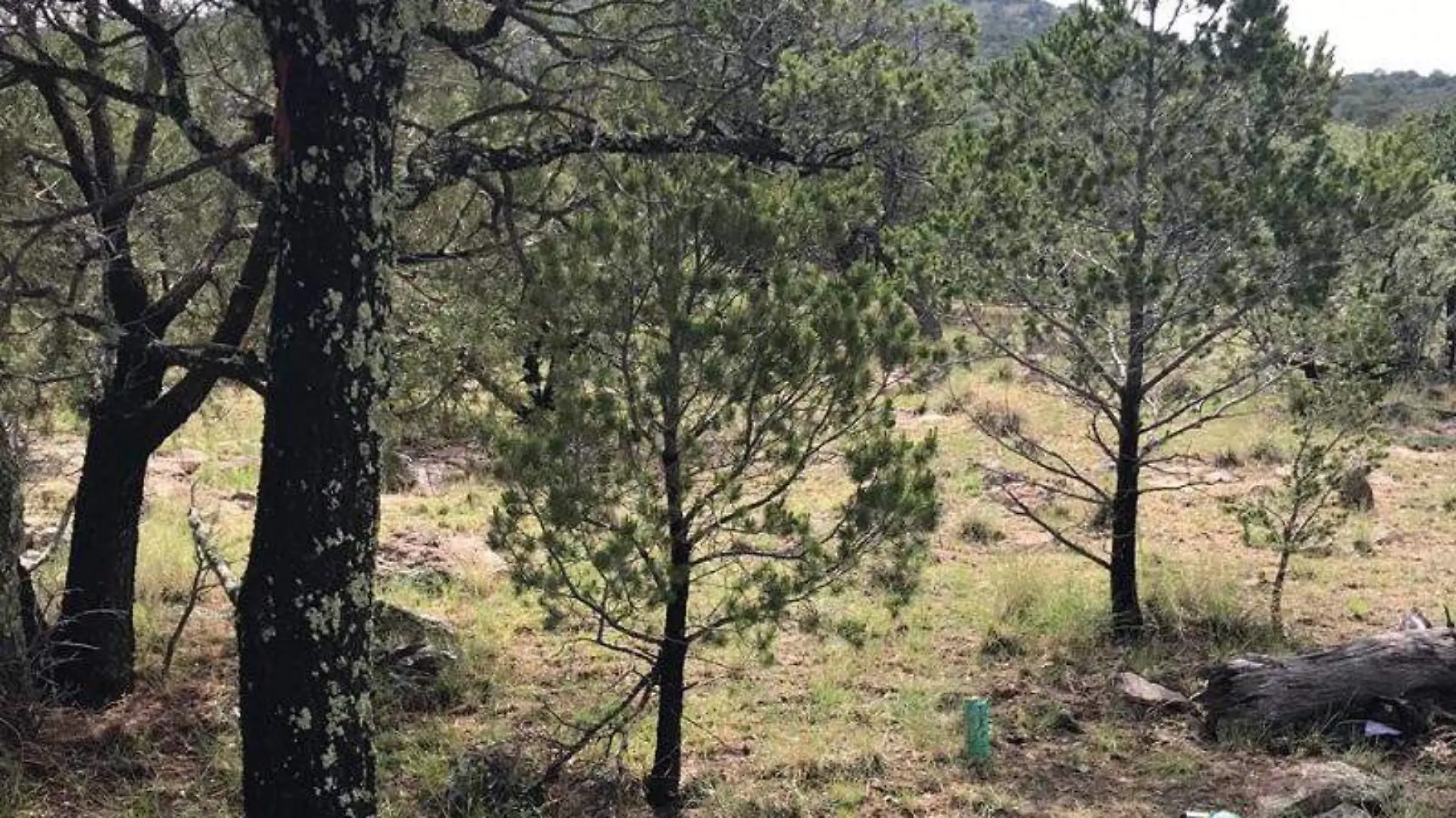 Murió al ser alcanzado por un rayo